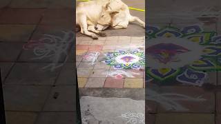 tamil 🙏✨🙏amavasiya  big festival diwali amavasiya shorts viral [upl. by Cower]