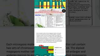 Differentiate between microsporogenesis and megasporogenesis Which type of cell division [upl. by Lisbeth958]