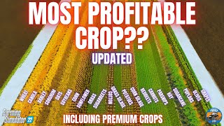 MOST PROFITABLE CROPS TEST  Farming Simulator 22 [upl. by Yedok]