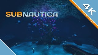 Subnautica quotGiant Cove Treequot  4K [upl. by Yanetruoc]