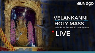 velankanni live mass today  velankanni Festival 2024  velankanni live [upl. by Stella234]