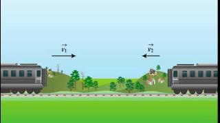 Principle of the Conservation of Momentum [upl. by Nellak836]