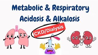 Acidosis Alkalosis Acid base balance in DialysisCkd patients metabolic acidosis [upl. by Liebermann859]