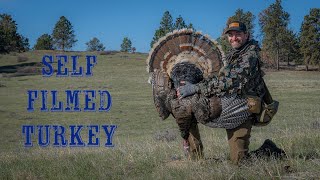 3 Lonely Longbeards Found  Successful Montana Turkey Hunt Video [upl. by Nitniuq]