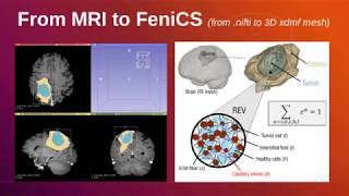 From MRI to FEniCS 3D xdmf mesh [upl. by Ylenaj]