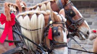 Waynesboro PA HOLIDAY PARADE [upl. by Wilkinson]