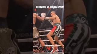 BENAVIDEZ VS MORRELL NEXT davidbenavidez davidmorrell canelo themexicanmonster boxing fyp [upl. by Supat]