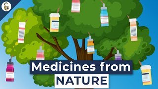 Lifesaving Medicines Made From Plants Youve Never Heard Of [upl. by Tenaej212]