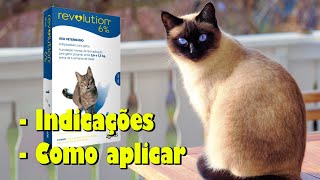 REVOLUTION pipeta para GATOS pulga piolho carrapato  Gatil Hauser [upl. by Rosy]