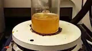 Reaction of Castor Oil With Sebacic Acid [upl. by Wales]