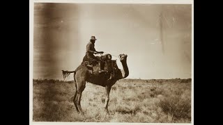 Fearsome Creature in Central Australia  Gigantic Lizard sighting in 1931 [upl. by Wini]