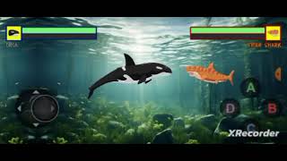 SEA ANIMAL 35 SHARK FIGHT SEA CREATURES [upl. by Derfla]