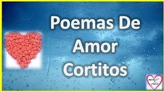 Poemas De Amor Cortitos Para Enamorar A Mi Novia [upl. by Atews]