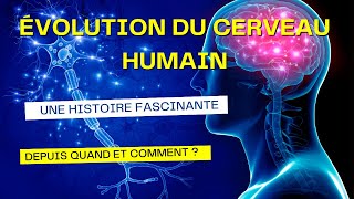 LA FASCINANTE HISTOIRE DE LÉVOLUTION DU CERVEAU HUMAIN DEPUIS QUAND ET COMMENT [upl. by Novaat]