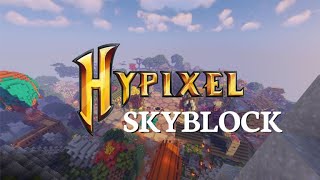 Hypixel Skyblock Solo EP1 [upl. by Gaye766]