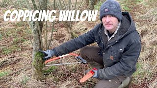 Coppicing Willow Why When and How [upl. by Fuld]