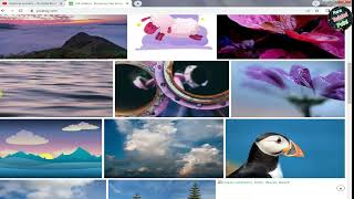 How to download free images from pixabay  How To Download HD images From Pixabay  Copyright Free [upl. by Isaiah939]