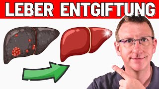 TOP 10 EntgiftungsTipps für Deine LEBER  Arzt erklärt [upl. by Behre]