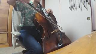 Downton Abbey Theme Song Cello Cover [upl. by Pinto]