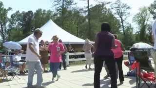 Dogwood Festival 2014 Fayetteville NC [upl. by Migeon216]