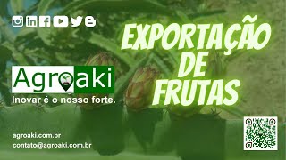 Exportação de frutas [upl. by Mattah]