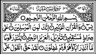 Ep 430 Surah Yaseen  Full With Arabic 🕋 By Qari Abdur Raheem Best Tilawat 🕌 [upl. by Adin]