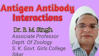 AntigenAntibody Interactions [upl. by Rabma495]