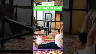 Tone Your HAMSTRINGS with Sitting Yoga [upl. by Sherrod]