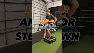 7 Level Progression Knee Pain Exercises keepmoving shorts [upl. by Annaihs777]