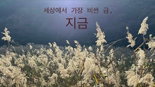 서울을 사랑하는 경기도민의 일상 [upl. by Fredenburg428]