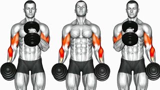 Biceps Workout 6 Best Exercises to build Strong Bicep [upl. by Bromleigh574]