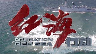 Making of Operation Red Sea [upl. by Leasim]