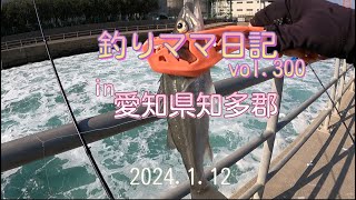 釣りママ日記vol300愛知県知多郡 [upl. by Aleece]