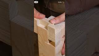 Master the Perfect Wood Jointeasywoodtools shortsfeed shortvideo trendingshorts [upl. by Fonzie881]