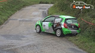 Rallye du Suran 2015 HD  RallyeStart [upl. by Ailedroc]