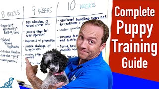 Your Complete Puppy Training Schedule By Age [upl. by Alaine]