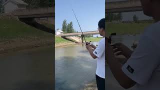 fishing silver carp and bighead carp fishingshorts viralvideo [upl. by Midge822]