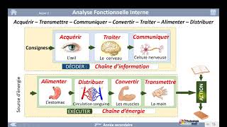 01 Activité de découverte Analyse Fonctionnelle Interne [upl. by Novikoff795]