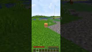 SHULKER 203  CURIOSIDADES Y SECRETOS DE MINECRAFT minecraft curiosidadesminecraft short [upl. by Yde]