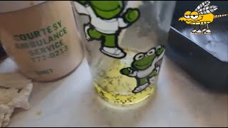 061324 Gnats And Fruit Flies In The Mtn Dew  FilthyMessy Kitchen [upl. by Enimrej]