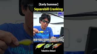 【Early Summer 06 07】Squarebill Cranking at Lake Champlain【Squarebill】 [upl. by Annai]