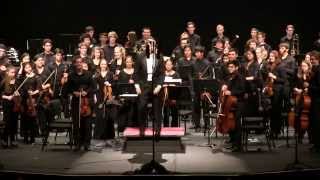 FSYO Shostakovich Symphony 10 Second Movement [upl. by Vivyanne]