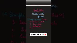 Epithelial tissue shorttrick gurpurab science biology 9th cbse shorts viralvideo trending [upl. by Ahsiniuq565]