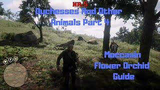 RDR2  Duchesses And Other Animals Part 4  Moccasin Flower Orchid Guide [upl. by Leinadnhoj68]