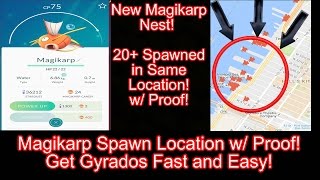 Pokemon GO Magikarp Nest 20 Spawned In quotHow to Get Gyrados Fast and Easyquot 720p [upl. by Eanyl887]