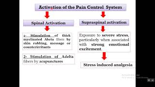 Physiology of Pain Control II Manchester [upl. by Milla]