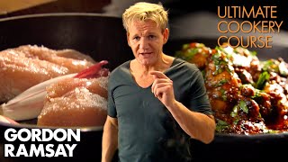 The Best amp Easiest CHICKEN Recipes Part 12  Gordon Ramsays Ultimate Cookery Course [upl. by Asilrac]