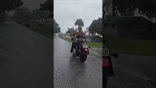 We ride Rain or Shine harleywomen motorcycleriding rainride ftw bikers motolifebikers [upl. by Redd]