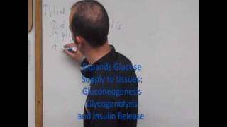 Beta2 Adrenergic Receptor Mnemonic Video [upl. by Ellerud]