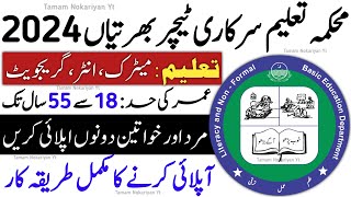 Literacy Non Formal Basic Education Department Jobs 2024  Teacher Jobs 2024  New Jobs in Pakistan [upl. by Ellekcim563]